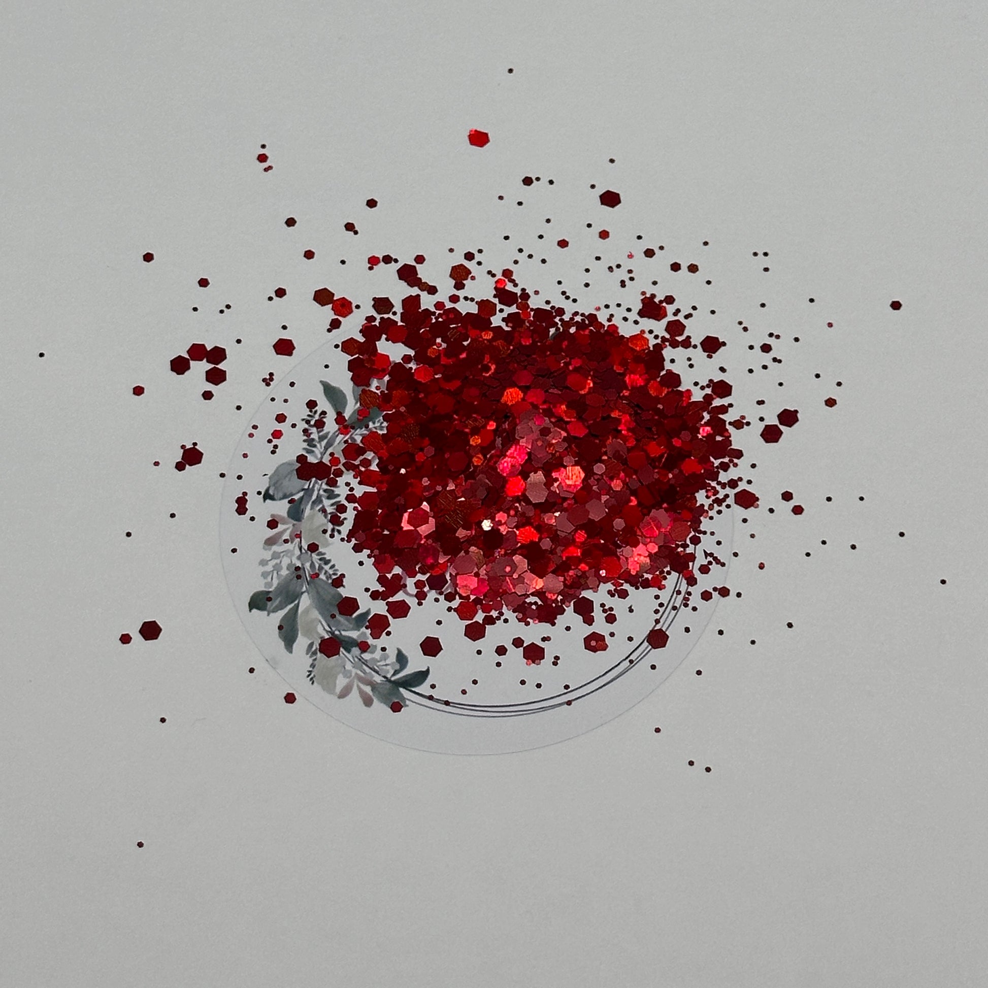 Ruby Slippers - Holo - Wattsupcustoms