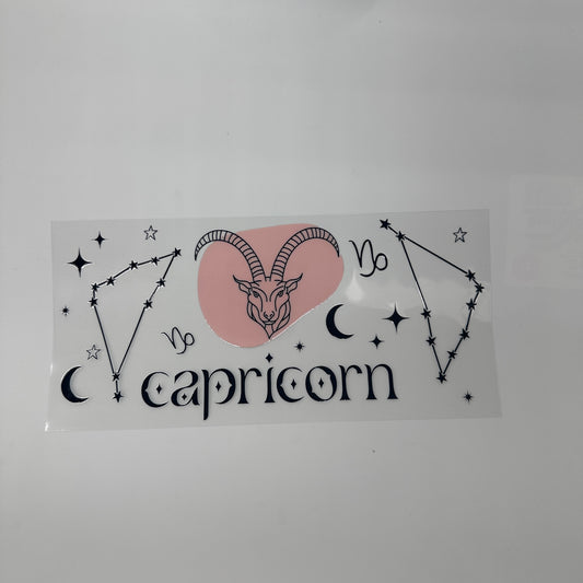 Capricorn 2 - Wattsupcustoms